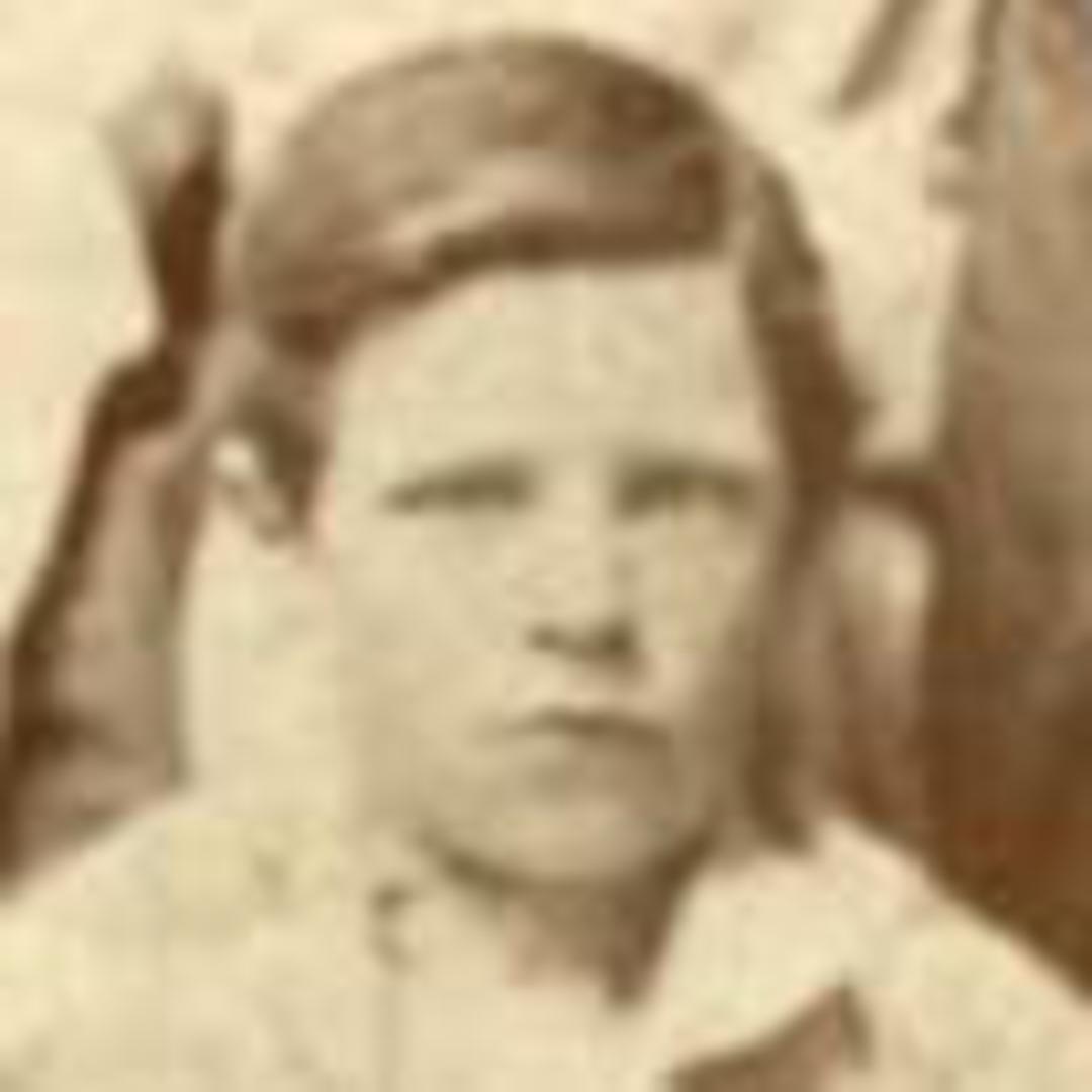 James Gowans Moyes (1864 - 1938) Profile